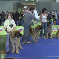 Salzburg Clubschau Mai 06 050 